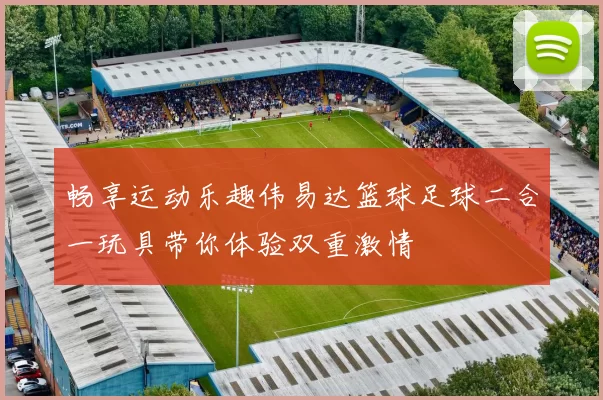 畅享运动乐趣伟易达篮球足球二合一玩具带你体验双重激情