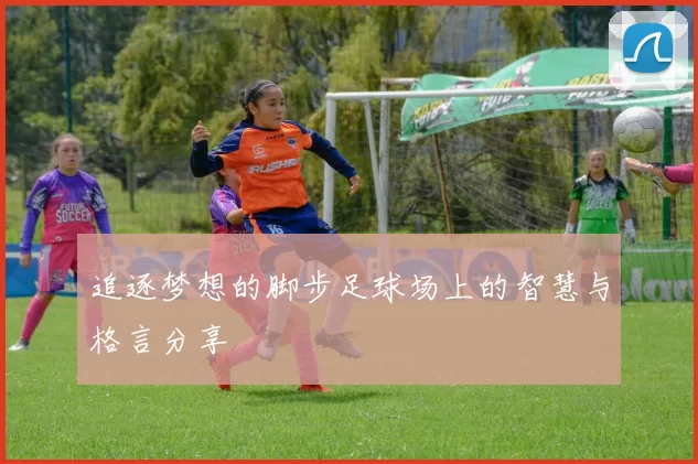追逐梦想的脚步足球场上的智慧与格言分享