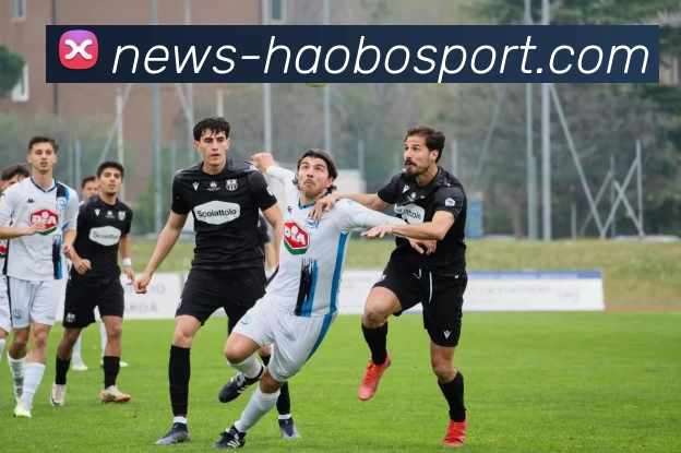 好博体育APP 体育赛事宣传图